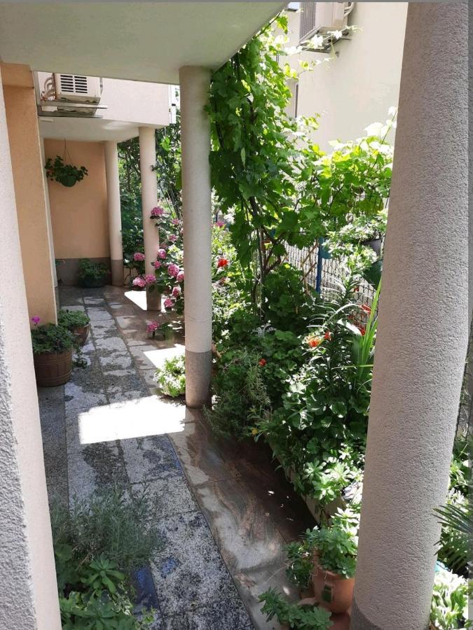 Vila Doris Otel Baška Voda Dış mekan fotoğraf