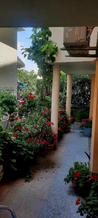 Vila Doris Otel Baška Voda Oda fotoğraf